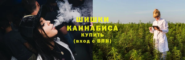 МДПВ Гусиноозёрск