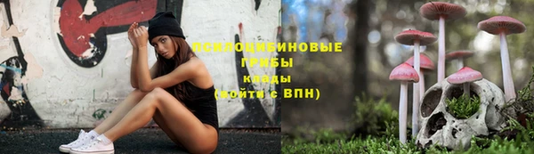 марки nbome Гусь-Хрустальный