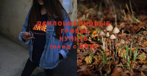 марки nbome Гусь-Хрустальный