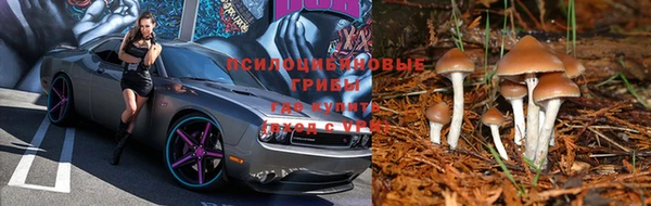 гидропоника Гусев