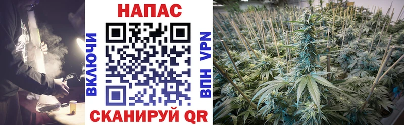 площадка какой сайт  Кызыл  Конопля VHQ 